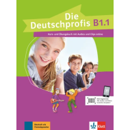 Die Deutschprofis B1.1: Text/Workbook