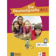 Die Deutschprofis A1.1: Text/Workbook