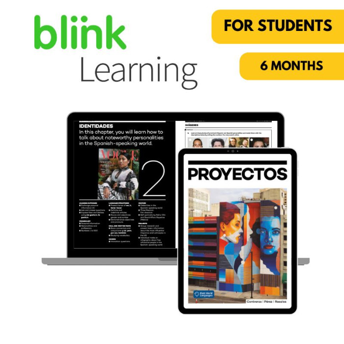 Proyectos: 6-Month BlinkLearning for Students