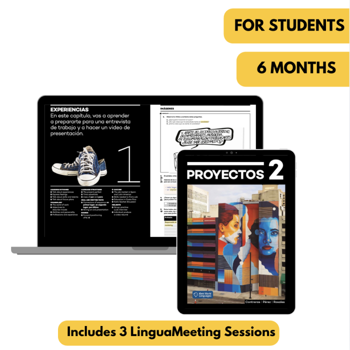 Proyectos 2: 6-Month The KWL Hub for Students + LinguaMeeting 3 sessions