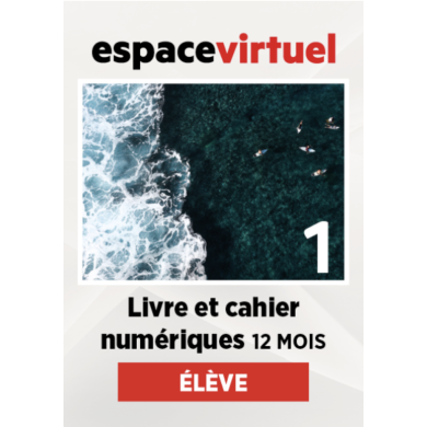 Défi actuel 1: 12-Month Espace Virtuel for Students