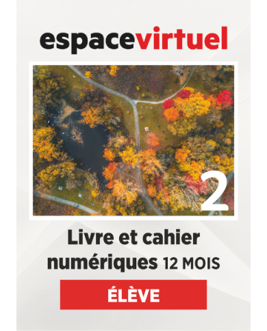 Défi actuel 2: 12-Month Espace Virtuel for Students