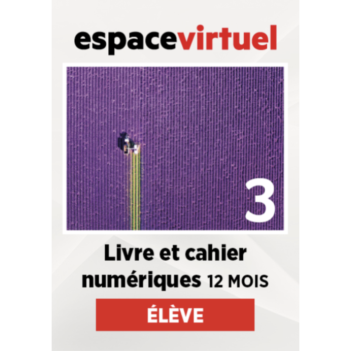 Défi actuel 3: 12-Month Espace Virtuel for Students