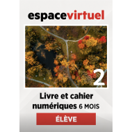 Défi actuel 2: 6-Month Espace Virtuel for Students