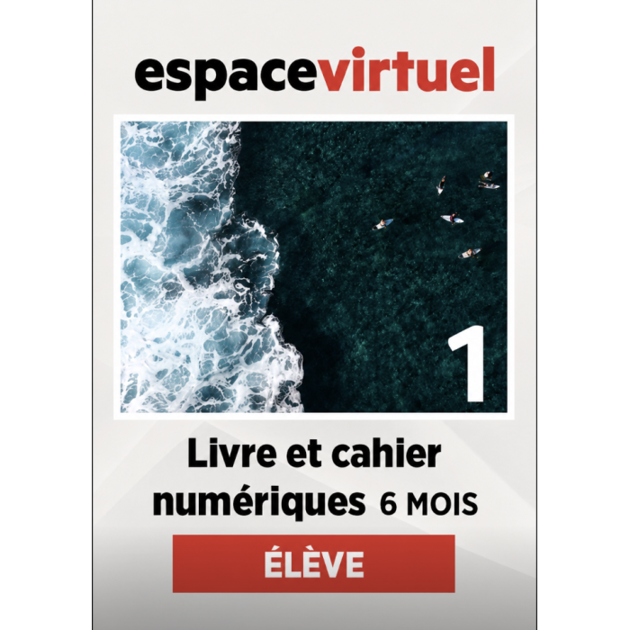 Défi actuel 1: 6-Month Espace Virtuel for Students