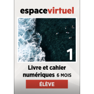Défi actuel 1: 6-Month Espace Virtuel for Students
